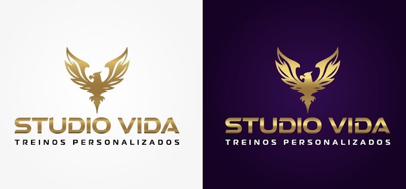 STUDIO VIDA LEME