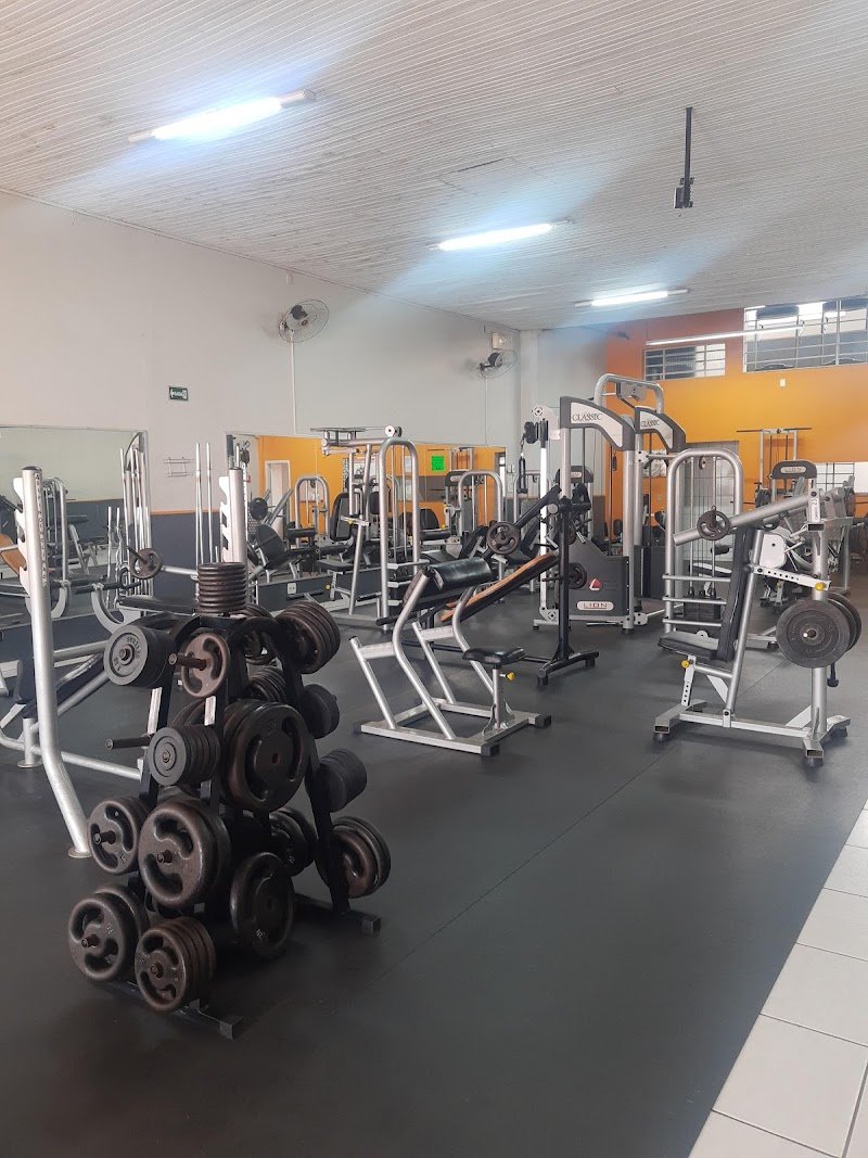 Academia Treino