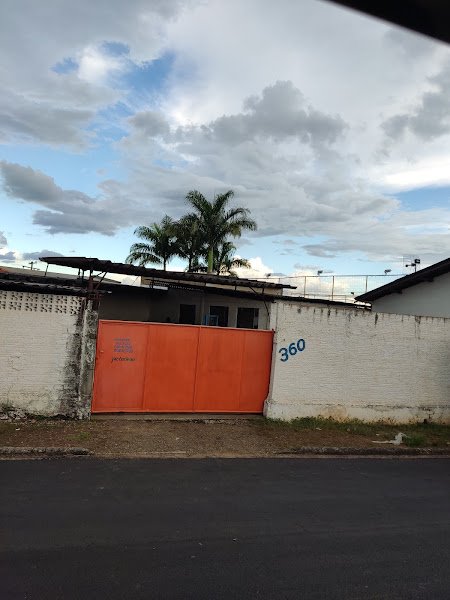 SÓ MACACOS (João Antônio Cruz Filho)